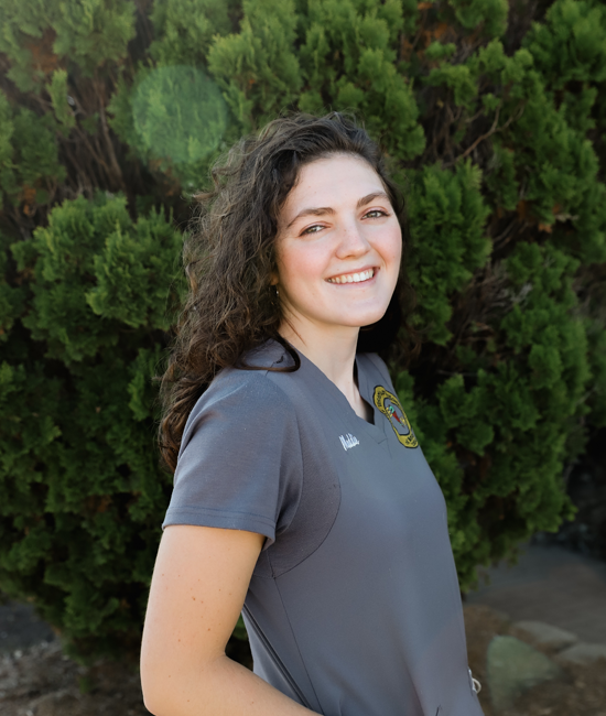 Madeline Brennan , Veterinary Assistant